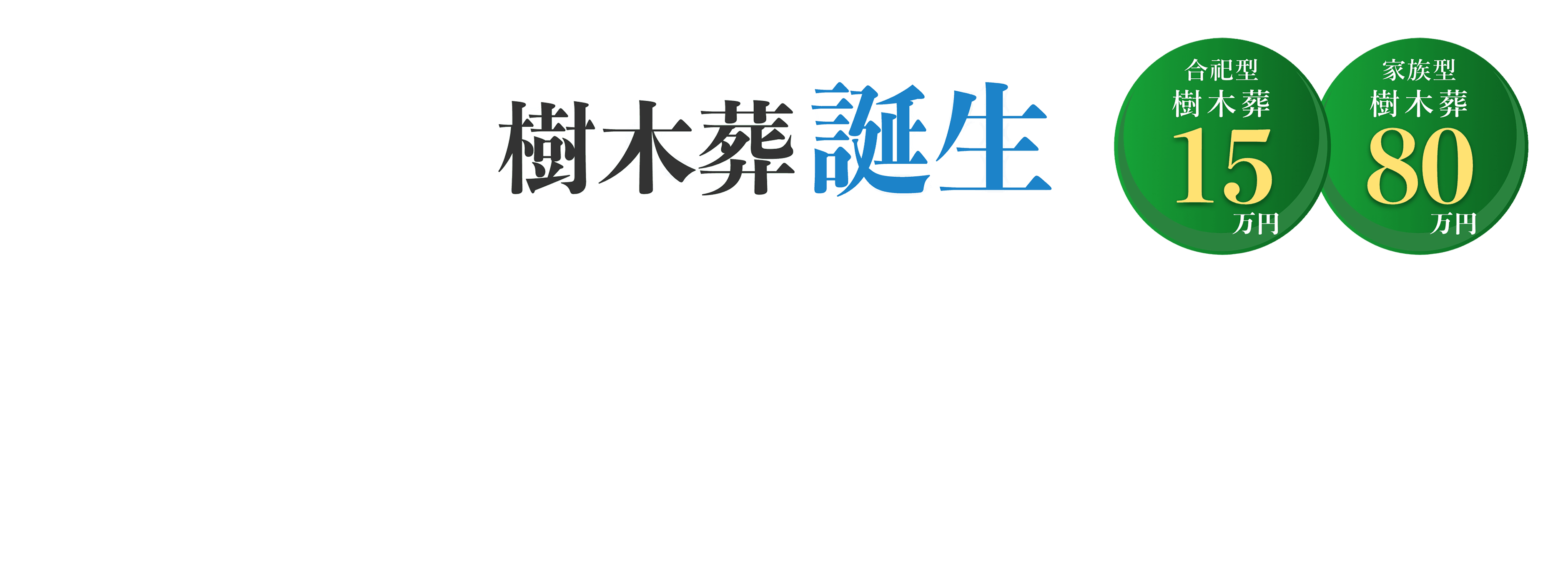 東武練馬駅」・「下赤塚駅」より車で約5分。板橋区徳丸に希少な墓地が誕生しました。